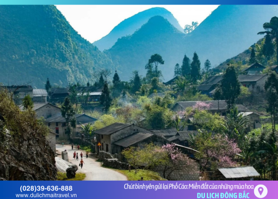 Về Phố Cáo, nghe hơi thở của đá và hoa giữa lòng Hà Giang