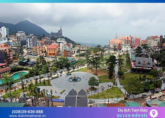 Du lịch Tam Đảo 2025: Trải nghiệm 