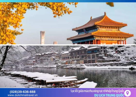  Lạc lối giữa mùa thu vàng rực rỡ khắp Trung Quốc