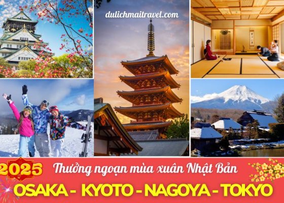 Tour Nhật Bản Tết 2025 • Tokyo | Oasaka | Kyoto | Nagoya