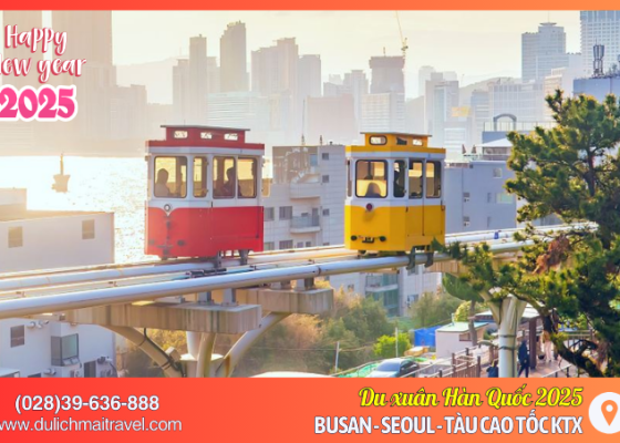 Tour Busan - Deagu - Seoul  2025 | Khám Phá Busan - Deagu - Seoul - Bay Vietnamairlines