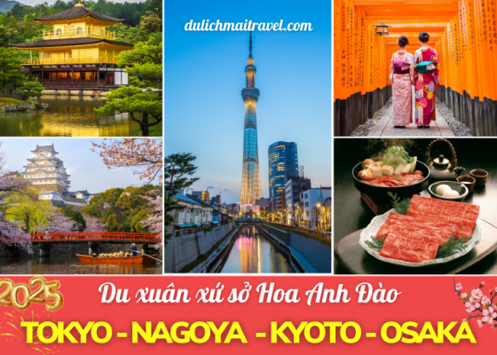 Tour Nhật Bản Mùng 2 Tết 2025 • Du Xuân Cung Đường Vàng 6N5D