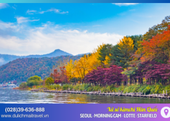 Tour Hàn Quốc 5N4D | Seoul - Morning Calm - Namsan - Lotte World - Thư Viện Starfield - Làng Cổ Bukchon