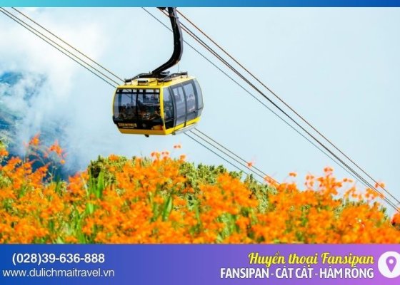 TOUR SAPA 3N2D - HUYỀN THOẠI FANSIPAN 2025