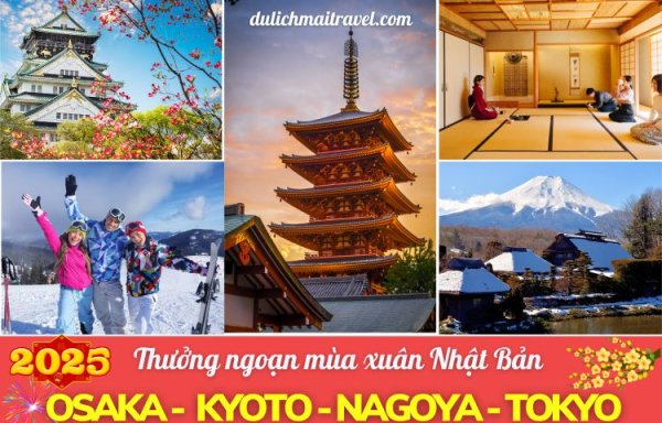Tour Nhật Bản Tết 2025 • Tokyo | Oasaka | Kyoto | Nagoya
