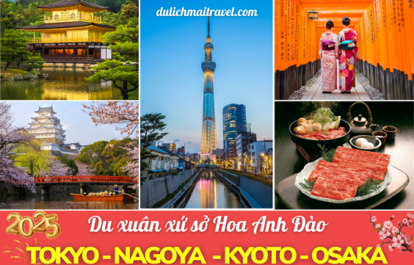 Tour Nhật Bản Mùng 2 Tết 2025 • Du Xuân Cung Đường Vàng 6N5D