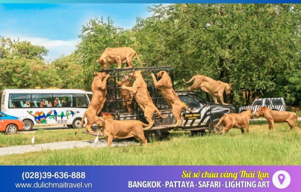 Tour Thái Lan 5N4D Bangkok Pattaya - Lighting Art - Safari World (Hè 2024)