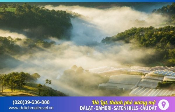 Tour Đà Lạt Giá Rẻ Trọn Gói Khởi Hành Hàng Tuần