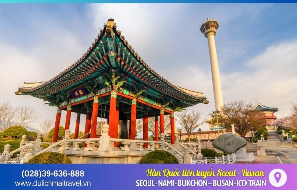 Tour Busan Seoul, Hàn Quốc 6 Ngày 5 Đêm, Khởi Hành Từ Sài Gòn