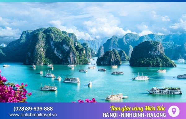 Tour Miền Bắc 3N2D, Hà Nội - Hạ Long - Ninh Bình, Thứ 7 Hàng Tuần