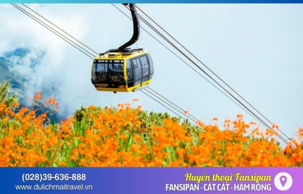 TOUR SAPA 3N2D - HUYỀN THOẠI FANSIPAN 2025