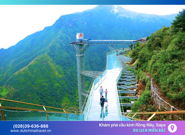 tham quan cầu kính Rồng Mây Sapa