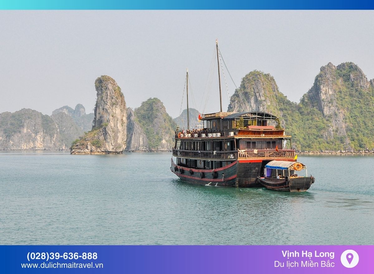 Du lịch Vịnh Hạ Long - Đắm chìm trong vẻ đẹp kỳ vĩ