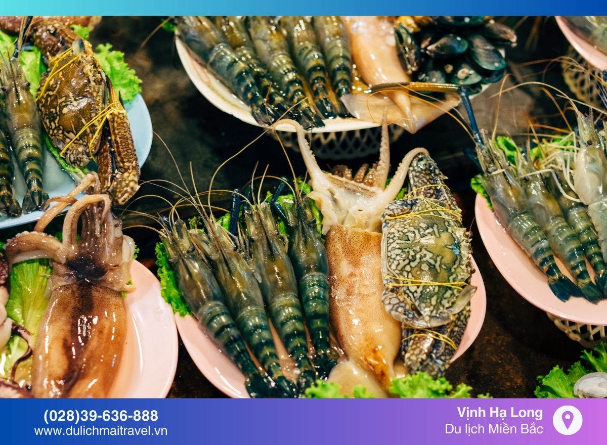 Du lịch Vịnh Hạ Long - Đắm chìm trong vẻ đẹp kỳ vĩ
