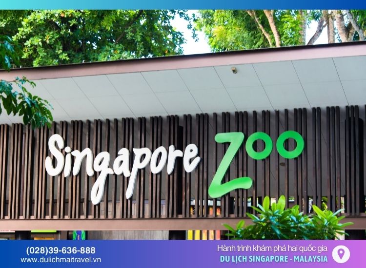 Singapore Zoo, du lịch singapore