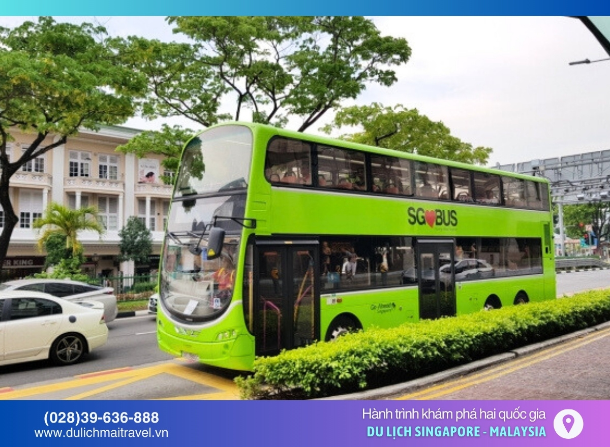 xe bus - tour singapore giá rẻ