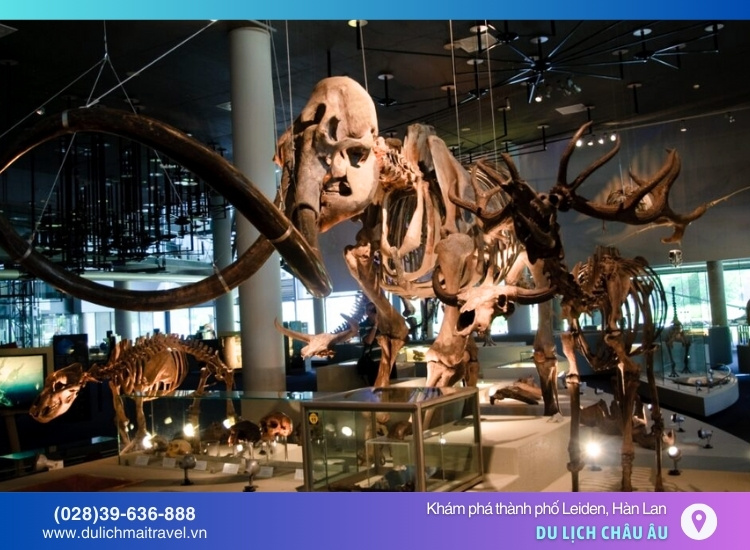 Bảo tàng Naturalis