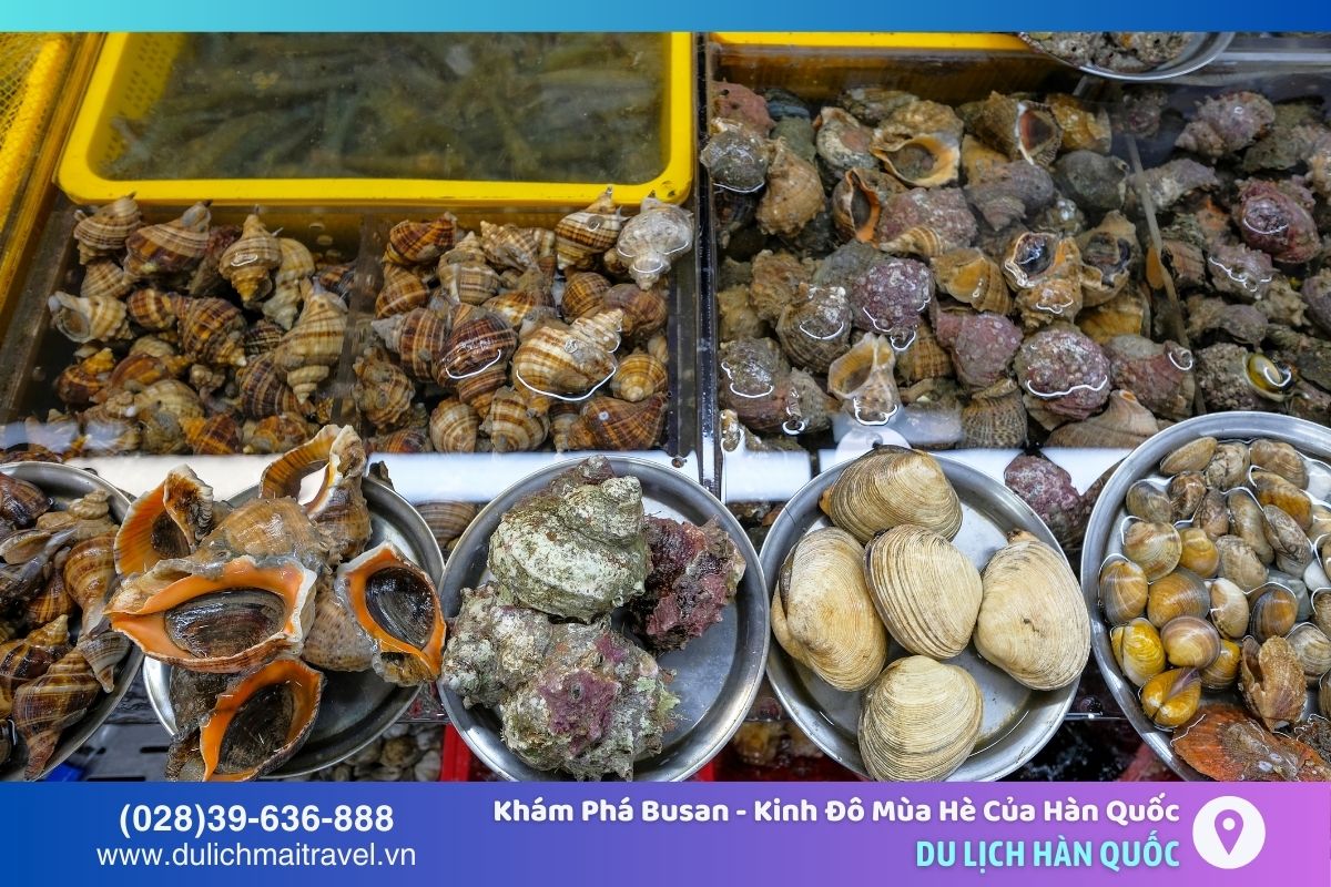 Chợ hải sản Jagalchi lớn nhất Busan nổi tiếng với hải sản đa dạng và tươi ngon 