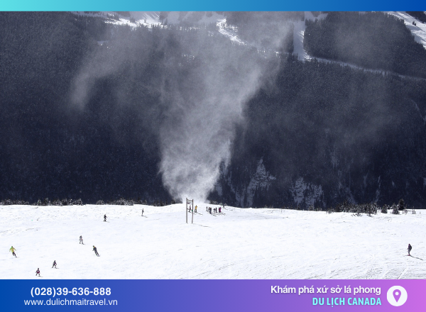 Khám phá làng Whistler - Trải nghiệm du lịch thú vị ở bờ tây Canada
