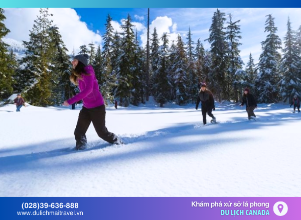Khám phá làng Whistler - Trải nghiệm du lịch thú vị ở bờ tây Canada