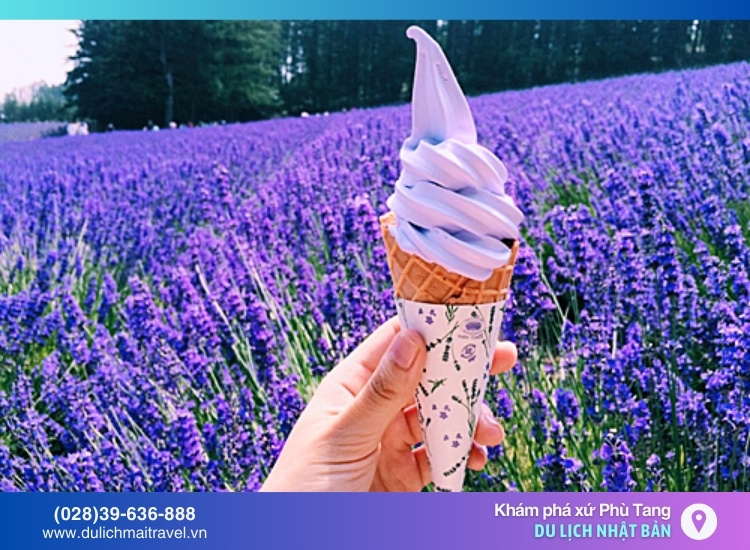 mùa hoa lavender, du lịch nhật bản mùa hè