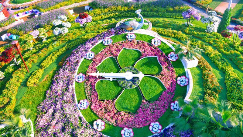 Vườn hoa Miracle Garden